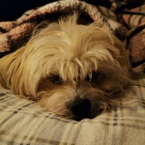 Meet your Posher, Sandra